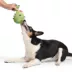 BARK Consuela The Cactus Dog Toys image thumbnail 4