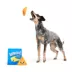BARK Drool Ranch Chips Dog Toys image thumbnail 5