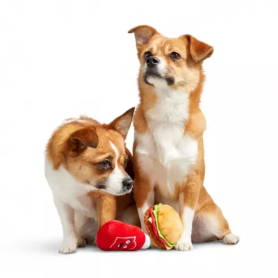 BARK Cookout Burger & Ketchup Dog Toys - Image 2