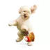 BARK Cookout Burger & Ketchup Dog Toys image thumbnail 4