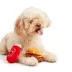 BARK Cookout Burger & Ketchup Dog Toys image thumbnail 5
