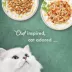 Fancy Feast® Medleys Adult Wet Cat Food - Latin America Flavors, Variety Pack, 12 CT, 3 OZ image thumbnail 6