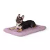 Kong® Durable Crate Mat Engineered For Strength & Durability, Water-Repellent Shell, Purple image thumbnail 2