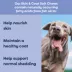 YumWell Skin & Coat Dog Soft Chew, Help Nourish Skin, Salmon Flavor, 90 ct image thumbnail 2