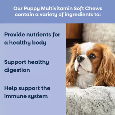 YumWell Puppy Multivitamin Dog Soft Chews, Support Immune Health, Chicken Flavor, 90 ct - Image 2