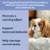 YumWell Puppy Calming Dog Soft Chews, Stress & Anxiety Support, Turkey Flavor, 90 ct image thumbnail 2
