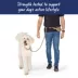 Top Paw® Multi-Wear Dog Leash with Pouch, Walking Dog Leash image thumbnail 4