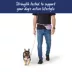 Top Paw® Multi-Wear Dog Leash with Pouch, Walking Dog Leash image thumbnail 4