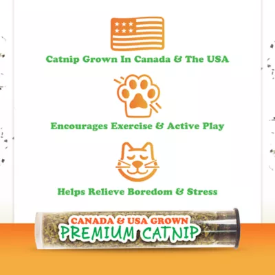 Meowijuana Get Flyin Jiggly Jellyfish Refillable Catnip Toy Teaser Promotes Play and Cat Health - Image 5