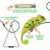 Meowijuana Jump 'n' Jamb Chameleon Door Hanging Refillable Cat Toy Promotes Play and Cat Health image thumbnail 3