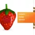 Meowijuana Knock N' Nibble Strawberry Refillable Treat Dispensing Cat Toy Promotes Play & Health image thumbnail 5