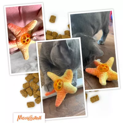 Meowijuana Knock N' Nibble Starfish Refillable Treat Dispensing Cat Toy Promotes Play & Health - Image 7