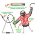 Meowijuana Jump 'n' Jamb Wild Sloth Door Hanging Refillable Cat Toy Promotes Play and Cat Health image thumbnail 3