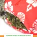 Meowijuana Jump 'n' Jamb Wild Sloth Door Hanging Refillable Cat Toy Promotes Play and Cat Health image thumbnail 4