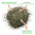 Meowijuana Mice Dreams Catnip Blend Promotes Play and Cat Health image thumbnail 3