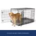 Top Paw® Plush Gray Crate Mat For Optimal Dog Comfort, Machine Washable image thumbnail 2