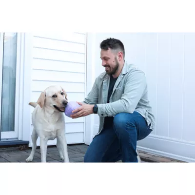 Jolly Pets Football Dog Toy - Image 4