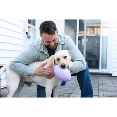 Jolly Pets Football Dog Toy - Image 5