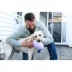 Jolly Pets Football Dog Toy image thumbnail 5