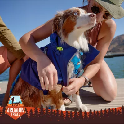 Arcadia Trail® Reflective Dog Coat, Multiple Colors & Sizes, Black/Blue, XS-XXL - Image 6