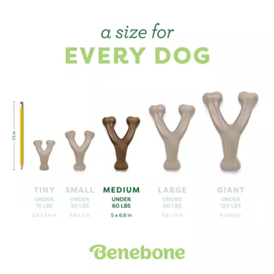 Benebone®Wishbone Durable Dog Chew Toy Bacon & Chicken - 2 Pack - Image 5