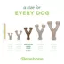Benebone®Wishbone Durable Dog Chew Toy Bacon & Chicken - 2 Pack image thumbnail 5