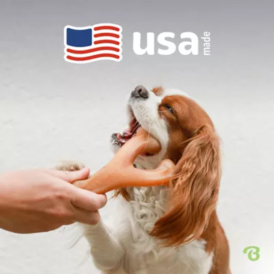 Benebone®Wishbone Durable Dog Chew Toy Bacon & Chicken - 2 Pack - Image 8
