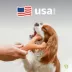 Benebone®Wishbone Durable Dog Chew Toy Bacon & Chicken - 2 Pack image thumbnail 8
