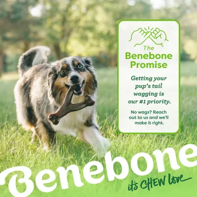 Benebone®Wishbone Durable Dog Chew Toy Bacon & Chicken - 2 Pack - Image 9