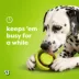 Benebone® Tongue Twister Rubber Dog Treat Toy image thumbnail 3