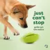Benebone® Tongue Twister Rubber Dog Treat Toy image thumbnail 7