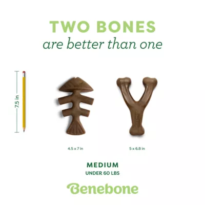 Benebone® Wishbone Fishbone Durable Dog Chew Toy - 2 Pack - Image 5
