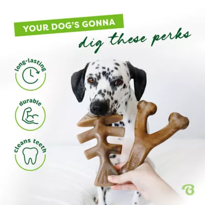Benebone® Wishbone Fishbone Durable Dog Chew Toy - 2 Pack - Image 7
