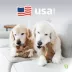 Benebone® Wishbone Fishbone Durable Dog Chew Toy - 2 Pack image thumbnail 8