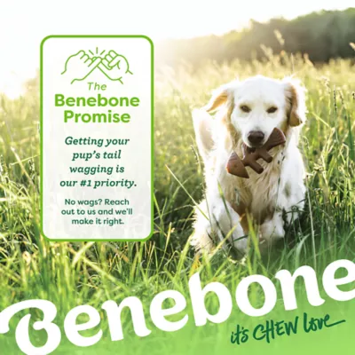 Benebone® Wishbone Fishbone Durable Dog Chew Toy - 2 Pack - Image 9