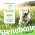 Benebone® Wishbone Fishbone Durable Dog Chew Toy - 2 Pack image thumbnail 9