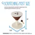 Whisker City® Espresso Martini Cat Scratcher, with Dangle Toy image thumbnail 2