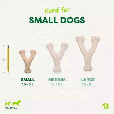 Benebone® Green Plant Based Wishbone Chew Dog Toy, Moderate Chewers - Image 4