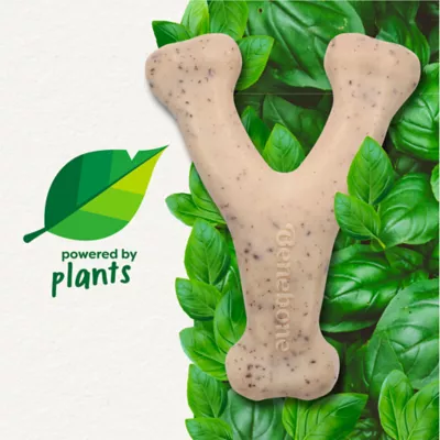 Benebone® Green Plant Based Wishbone Chew Dog Toy, Moderate Chewers - Image 6