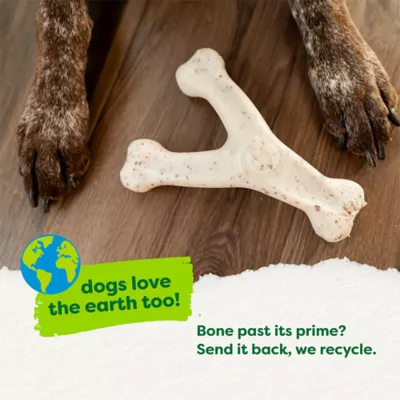 Benebone® Green Plant Based Wishbone Chew Dog Toy, Moderate Chewers - Image 8