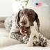 Benebone® Green Plant Based Wishbone Chew Dog Toy, Moderate Chewers image thumbnail 9