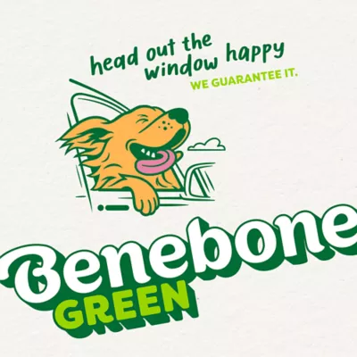 Benebone® Green Plant Based Wishbone Chew Dog Toy, Moderate Chewers - Image 10