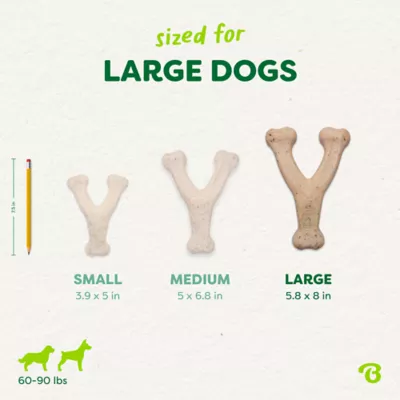 Benebone® Green Plant Based Wishbone Chew Dog Toy, Moderate Chewers - Image 4