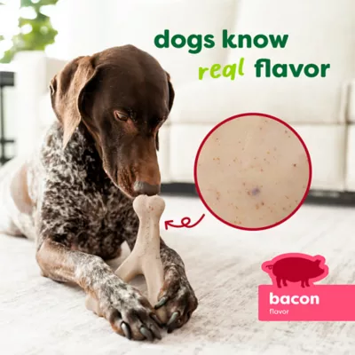 Benebone® Green Plant Based Wishbone Chew Dog Toy, Moderate Chewers - Image 5