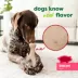 Benebone® Green Plant Based Wishbone Chew Dog Toy, Moderate Chewers image thumbnail 5