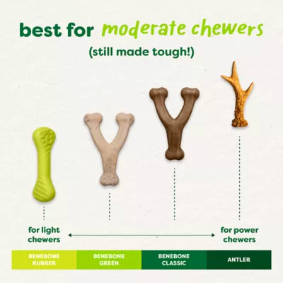 Benebone® Green Plant Based Wishbone Chew Dog Toy, Moderate Chewers - Image 7