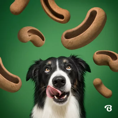 Benebone® Treat Pod Refills for Interactive Dog Toys, Peanut Butter Flavor - Image 6
