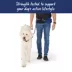 Top Paw® Multi-Wear Dog Leash with Pouch, Walking Dog Leash image thumbnail 4