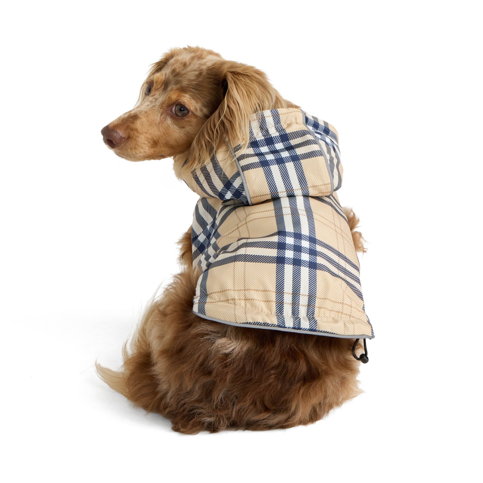 fall apparel