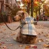 HOTEL DOGGY® 2-in-1 Reversible Dog Raincoat image thumbnail 7